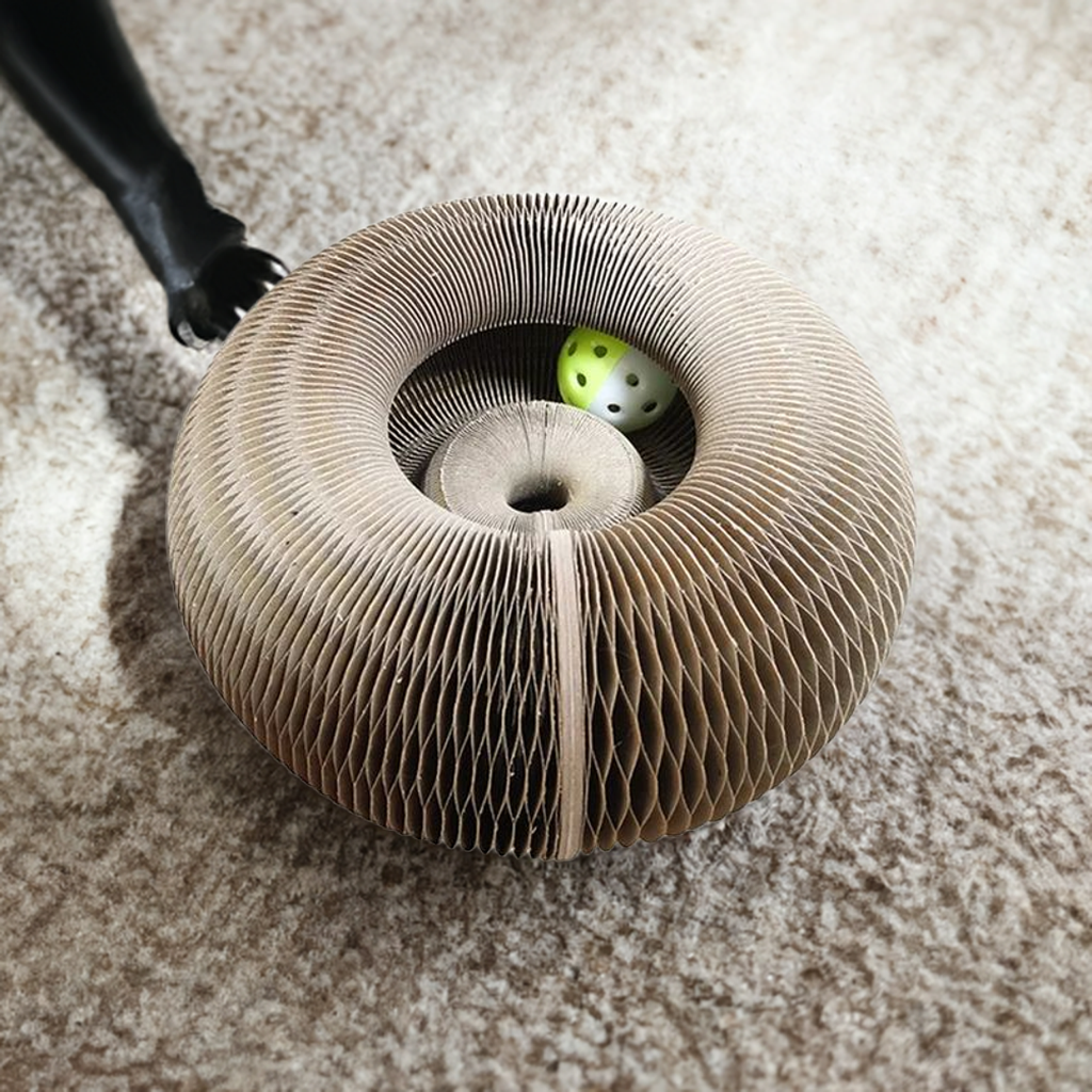 Magic Organ Cat Scratching Toy