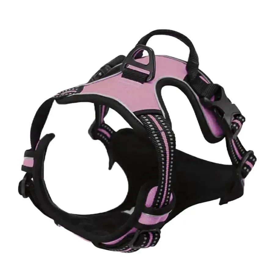 Luxury Leather Dog Harness & Leash