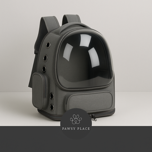 Transparent Cat Carrier Backpack