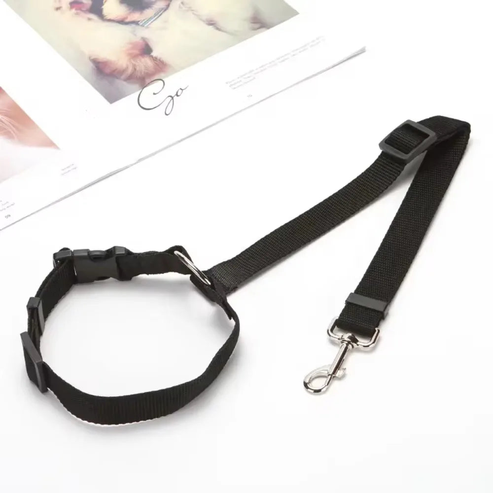Pet Car Seat Belt & Leash