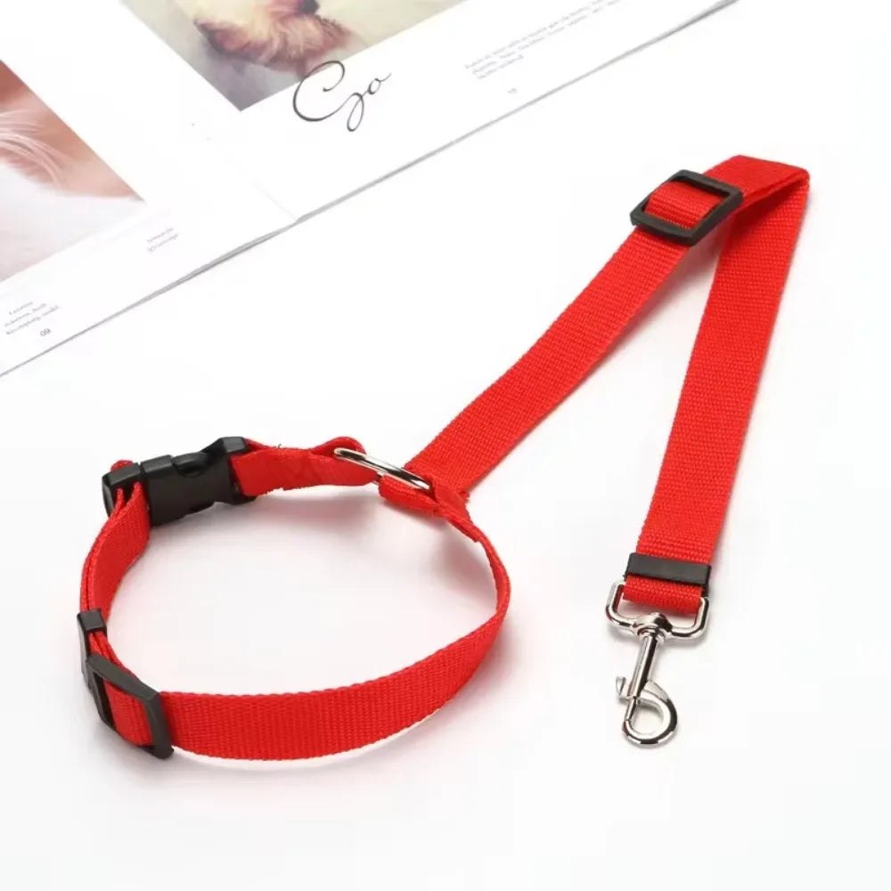 Pet Car Seat Belt & Leash