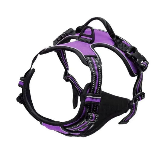 Luxury Leather Dog Harness & Leash