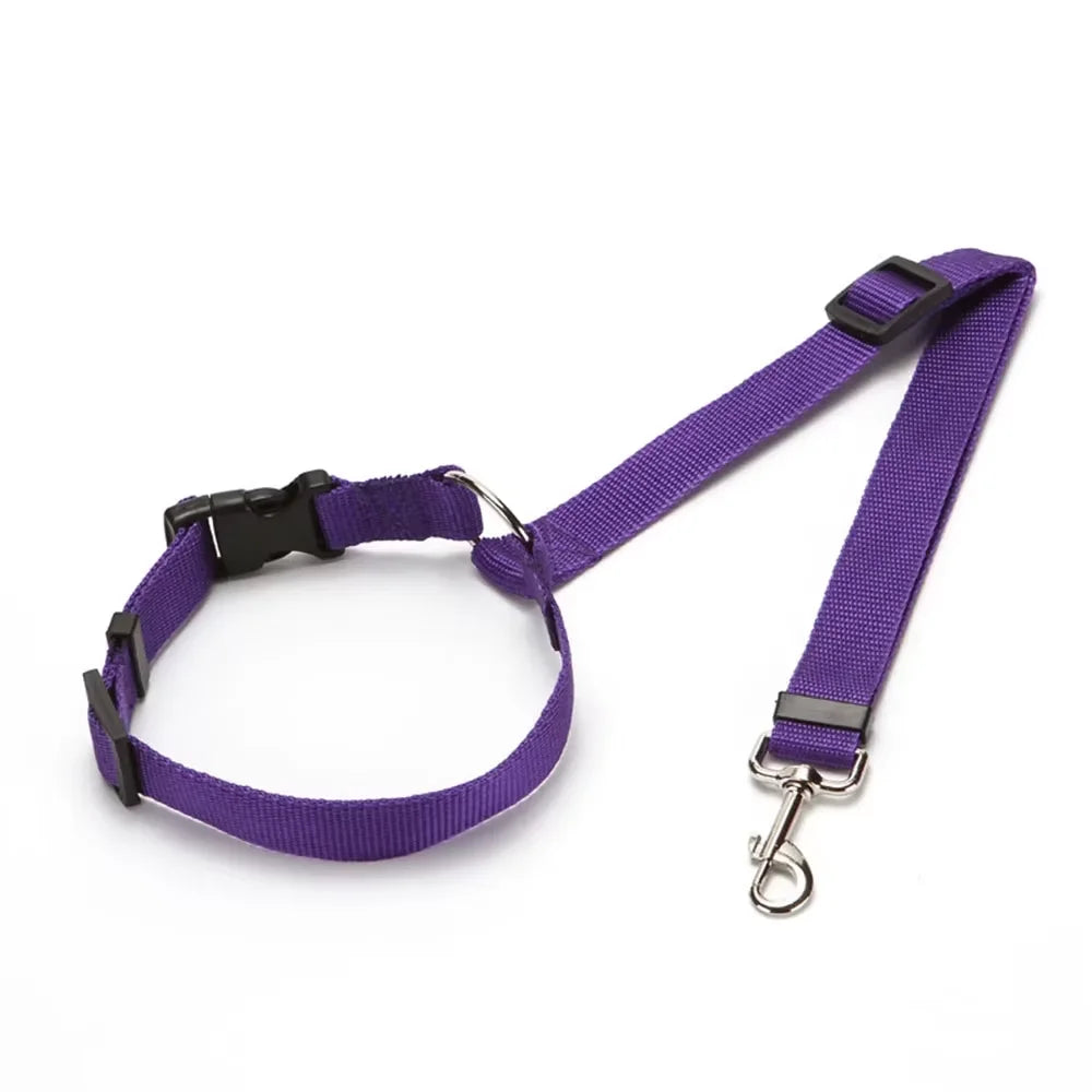 Pet Car Seat Belt & Leash