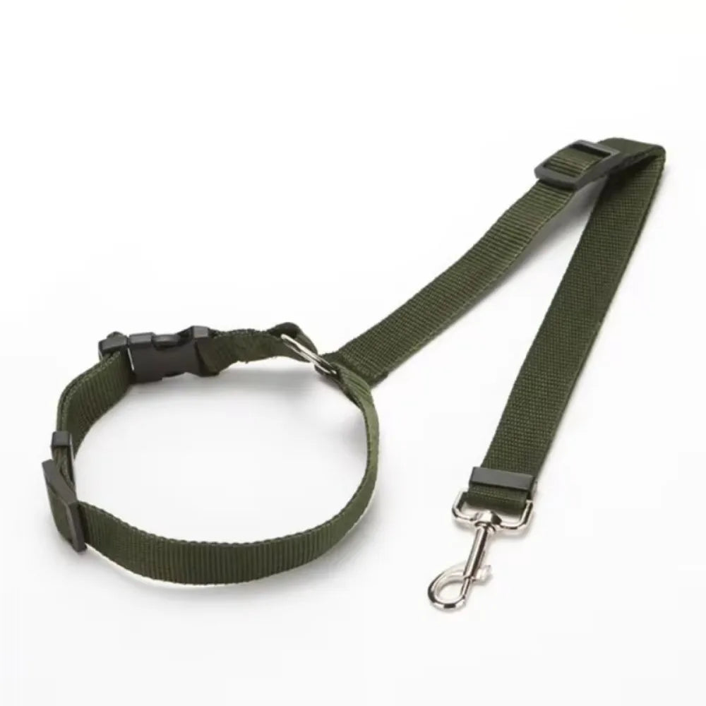 Pet Car Seat Belt & Leash